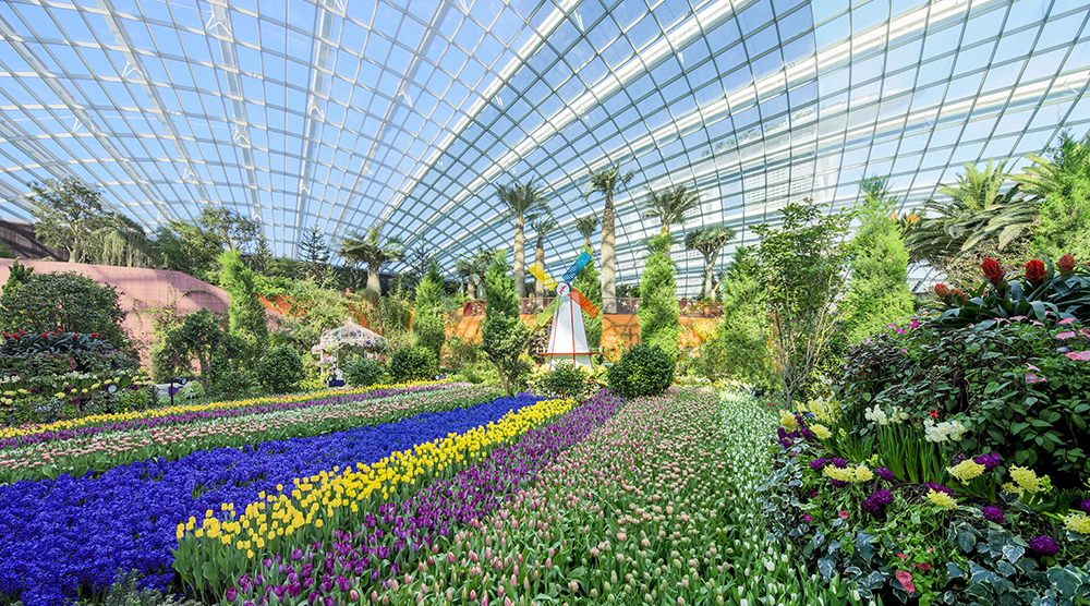 https://d3r8gwkgo0io6y.cloudfront.net/upload/Flower Dome Floral Display 11.jpg